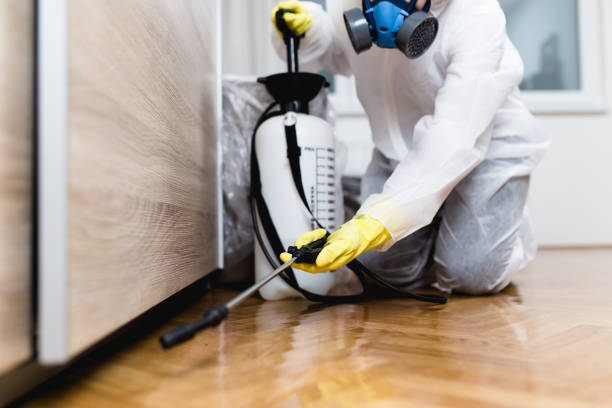 Best Mosquito Control Services  in Albertson, NY