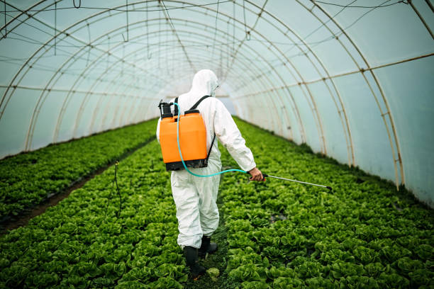 Best Affordable Pest Control Services  in Albertson, NY